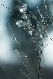 发售仅半年 《Omega Strikers》年底停止内容更新